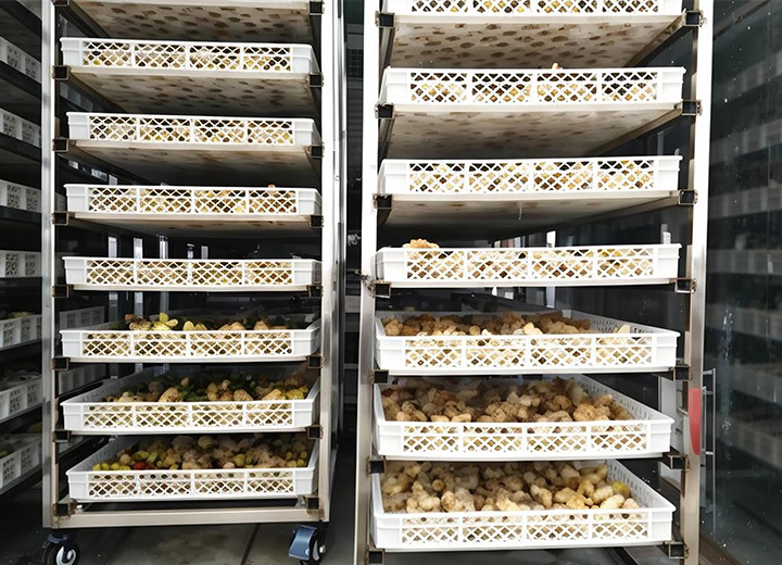 藥材烘干機(jī)